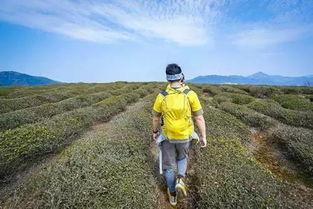 娱乐吃瓜酱徒步二十里