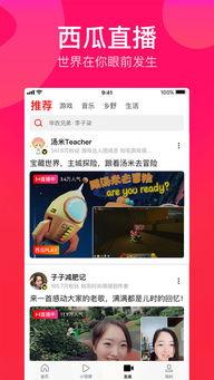 娱乐吃瓜视频模板,明星幕后故事大揭秘，吃瓜群众必看！